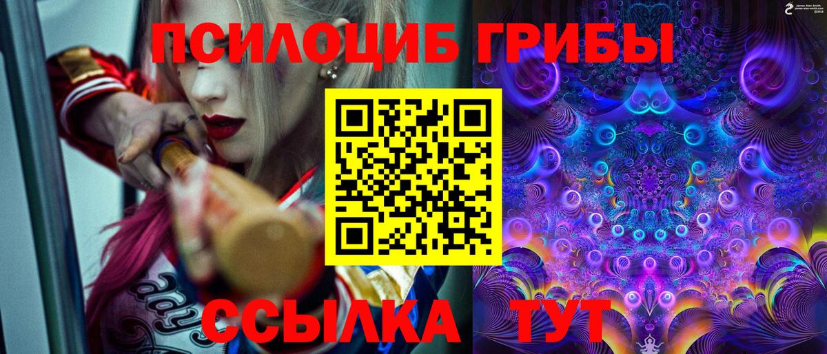 Псилоцибиновые грибы GOLDEN TEACHER Астрахань