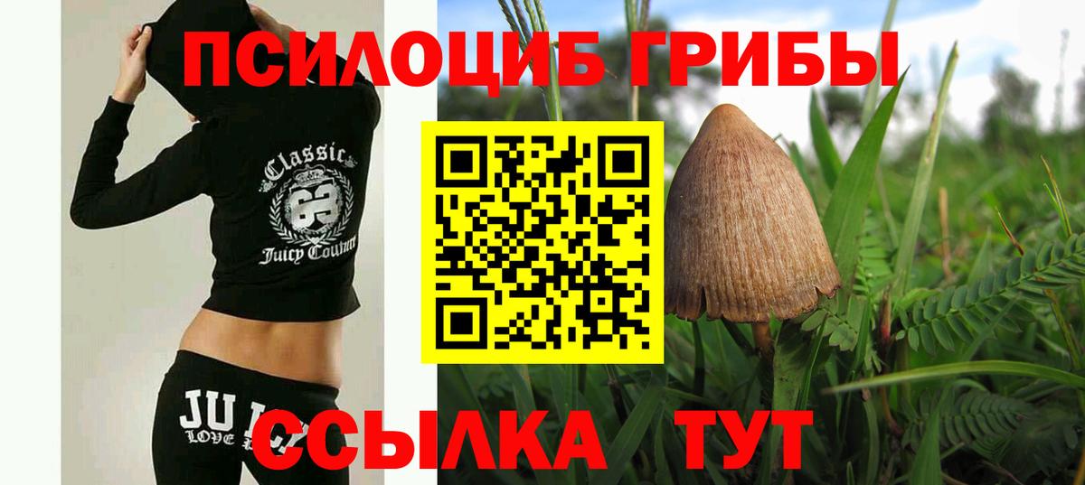 Галлюциногенные грибы MAGIC MUSHROOMS  Галлюциногенные грибы мицелий  Астрахань  Вход с VPN 